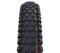 SCHWALBE Plášť ALBERT TRAIL PRO (63-622) 29x2.50 Evolution 67EPI Radial 1180g Čierny TLR Ultra Soft