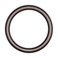SCHWALBE Plášť RICK XC PRO (62-622) 29x2.40 Evolution 67EPI 760g Transparent  TLR Speed